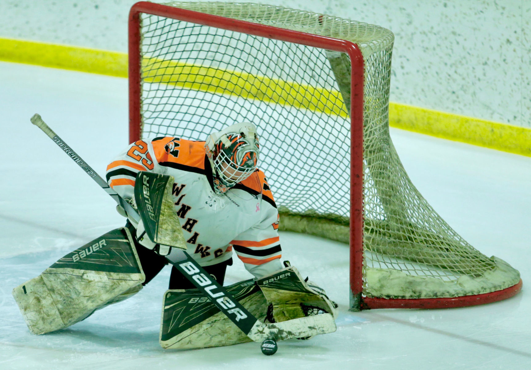 Winhawk Playoff Hockey vs Austin